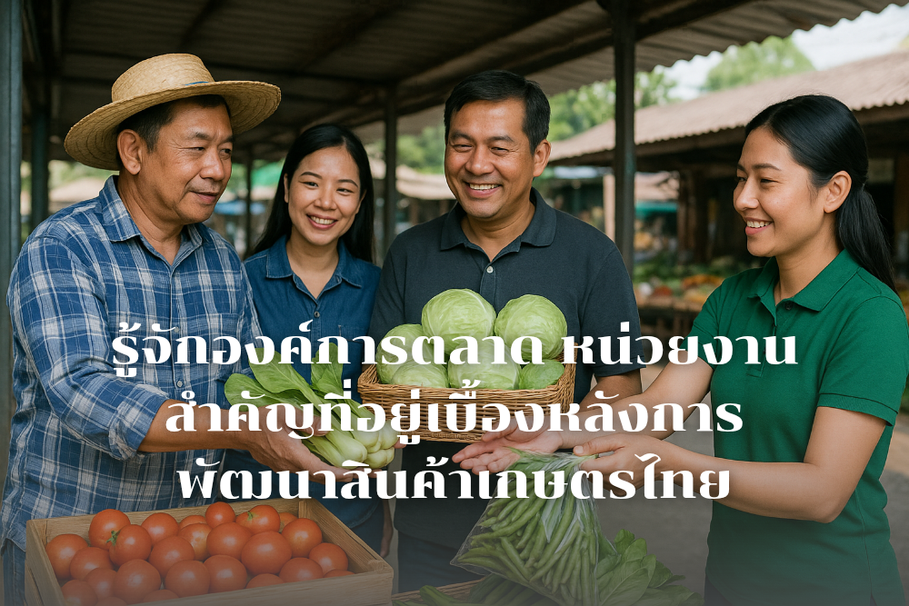 รู้จักองค์การตลาด หน่วยงานสำคัญที่อยู่เบื้องหลังการพัฒนาสินค้าเกษตรไทย